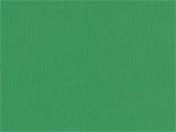 T/Cブロード緑色